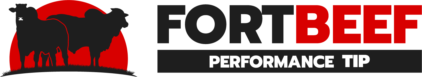 FortBeef Performance TIP